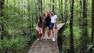 Four female students on wooden path in marshy forest